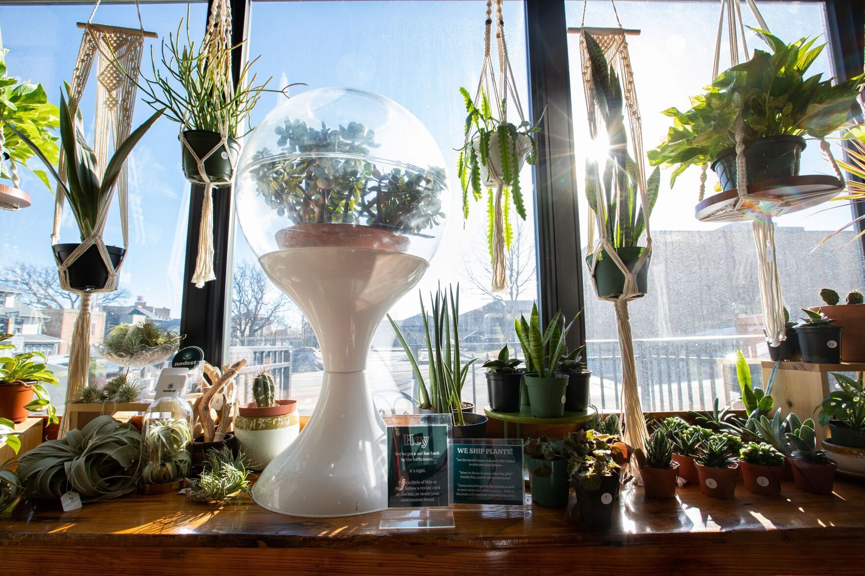Plant Life